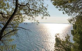 Squirrel Beach Front Villa, Metamorfosi